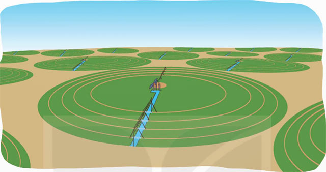 Đường tròn, chu vi và diện tích hình tròn