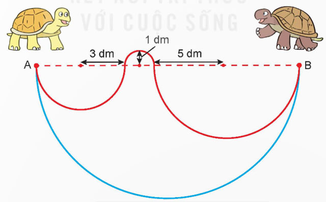 Đường tròn, chu vi và diện tích hình tròn
