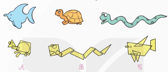 Ôn tập một số hình phẳng