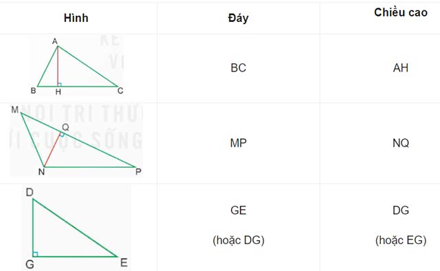 Ôn tập một số hình phẳng