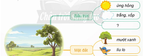 Quan sát, tìm ý cho bài văn tả phong cảnh