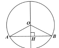 Bài tập cuối chương V