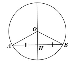 Bài tập cuối chương V