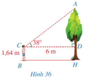 Ứng dụng của tỉ số lượng giác của góc nhọn