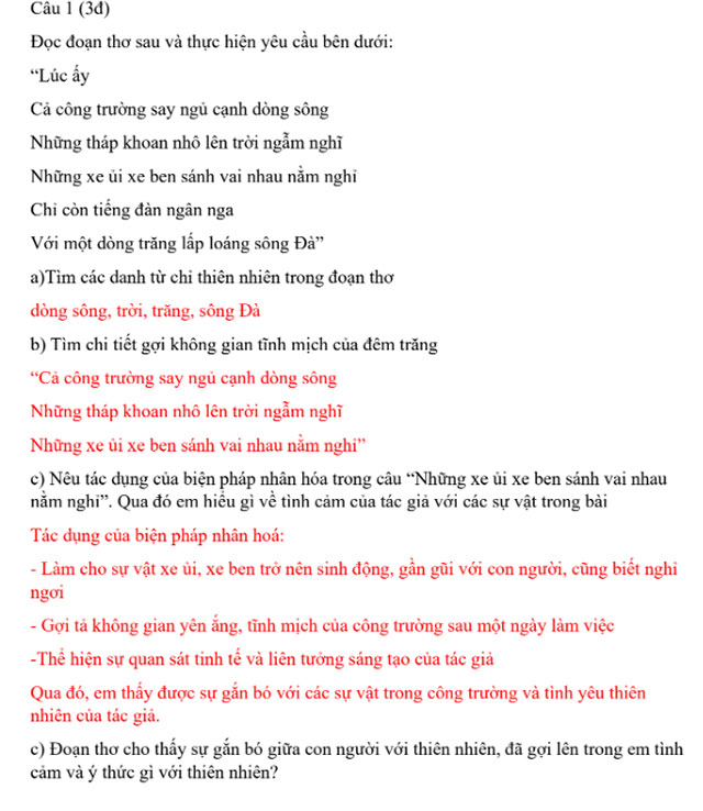 Đáp án đề thi vào lớp 6 Tiếng Việt THCS Cầu Giấy 2024