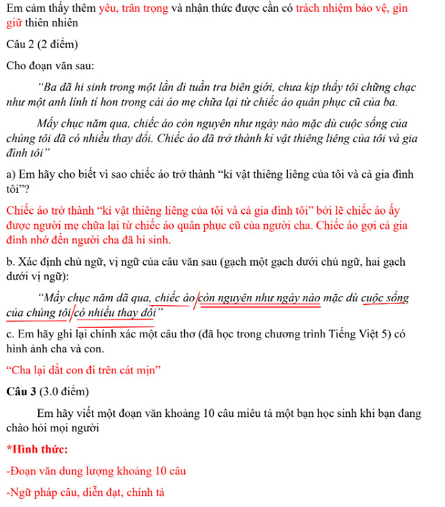 Đáp án đề thi vào lớp 6 Tiếng Việt THCS Cầu Giấy 2024