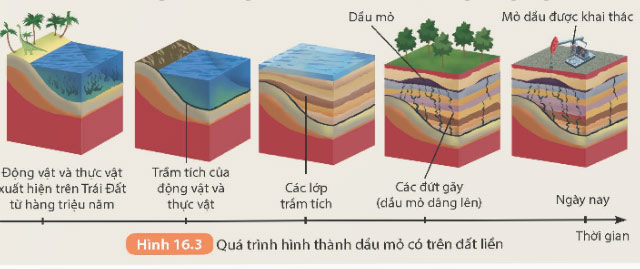 Vòng năng lượng trên Trái Đất, năng lượng hóa thạch