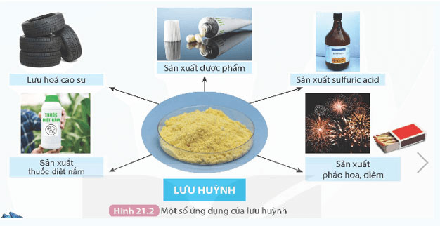 Hình 21.2