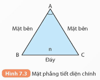 KHTN 9 Bài 7: Lăng kính Giải KHTN 9 Kết nối tri thức trang 34, 35, 36, 37, 38, 39