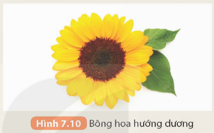 Lăng kính