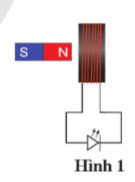 Bài tập Chủ đề 4