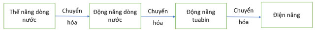 Cơ năng