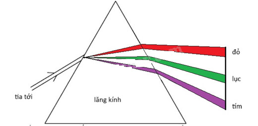 Ôn tập chủ đề 2