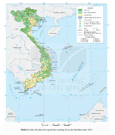 Lâm nghiệp và thuỷ sản 