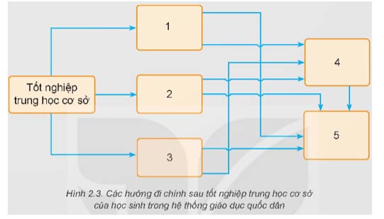 Cơ cấu hệ thống giáo dục quốc dân