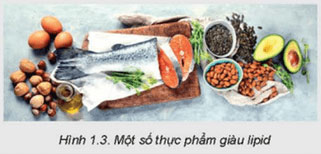Thành phần dinh dưỡng trong thực phẩm