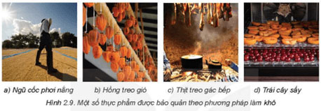 Lựa chọn và bảo quản thực phẩm
