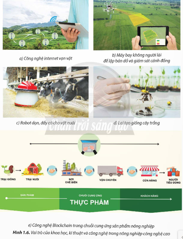 Mô hình nông nghiệp công nghệ cao