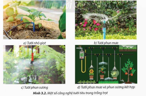 Thiết kế mạch điện ứng dụng công nghệ tưới tiêu tự động trong trồng trọt