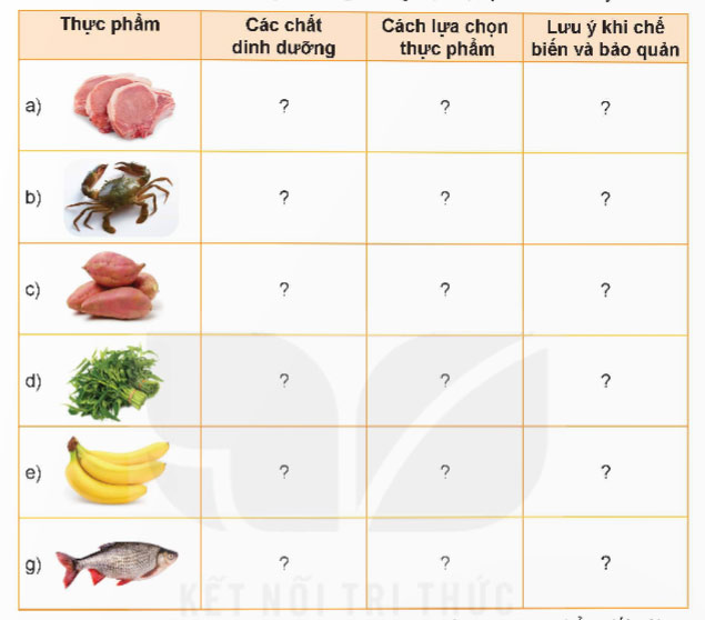 Ôn tập Chương I