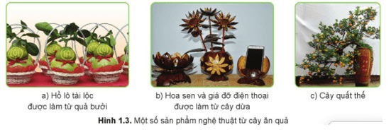 Đặc điểm chung của cây ăn quả