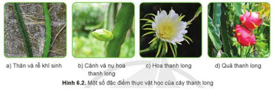 Hình 6.2