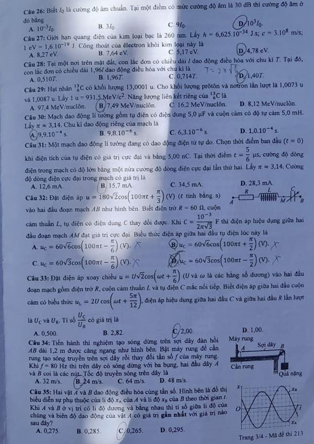 Mã đề 213
