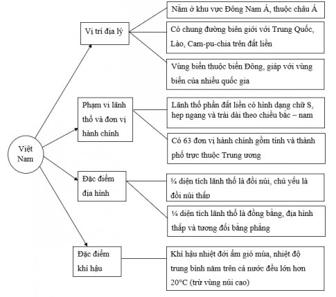 Lịch sử Địa lí lớp 5 Bài 11: Ôn tập Giải Lịch sử Địa lí lớp 5 Kết nối tri thức trang 50