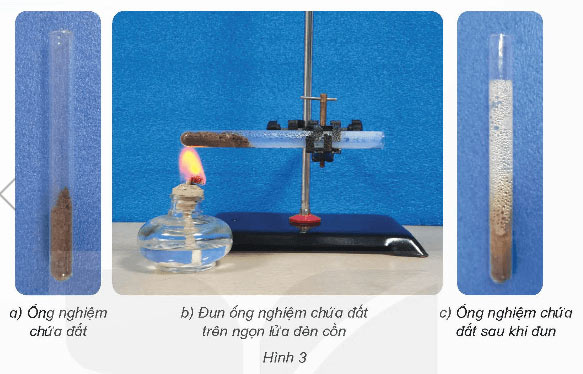 Thành phần và vai trò của đất đối với cây trồng