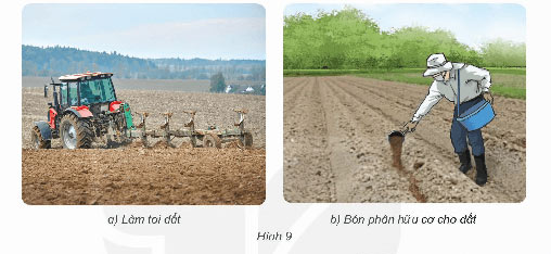 Thành phần và vai trò của đất đối với cây trồng