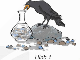 Đặc điểm của chất ở trạng thái rắn, lỏng, khí. Sự biến đổi trạng thái của chất