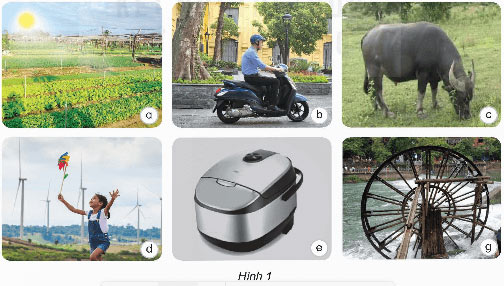Khoa học lớp 5 Bài 7: Vai trò của năng lượng Giải Khoa học 5 Kết nối tri thức trang 27, 28, 29