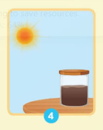 Thành phần và vai trò của đất