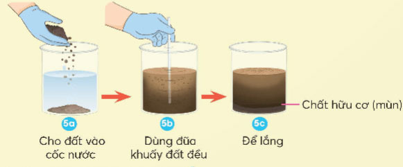 Thành phần và vai trò của đất