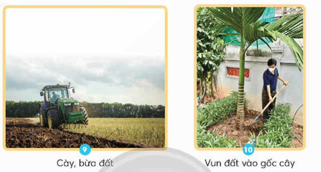 Thành phần và vai trò của đất