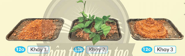 Ô nhiễm, xói mòn đất và bảo vệ môi trường đất 