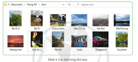 Tìm kiếm tệp và thư mục