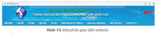 Tìm kiếm thông tin trên website