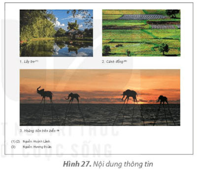 Bản quyền nội dung thông tin