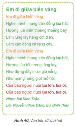 Thực hành soạn thảo văn bản