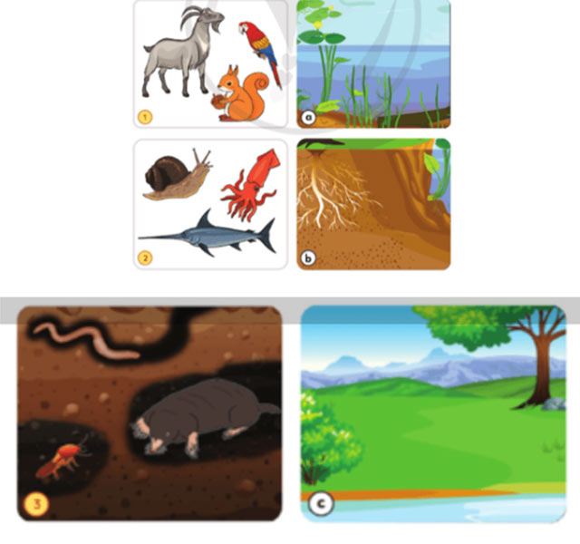 Môi trường sống quanh em