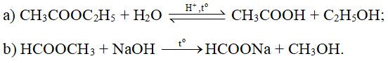 Ester - Lipid