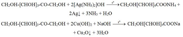 Giới thiệu về carbohydrate. Glucose và fructose