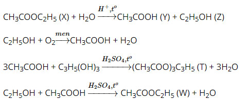Ester - Lipid