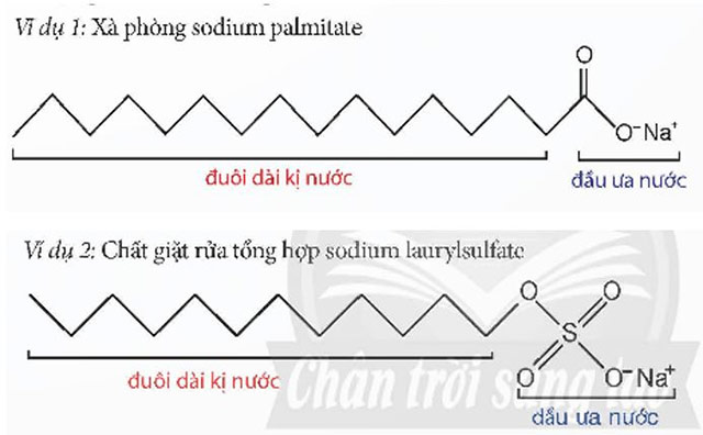 Xà phòng và chất giặt rửa