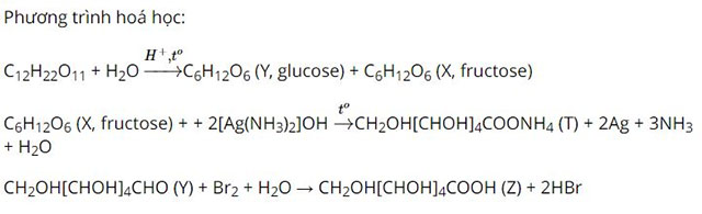 Saccharose và maltose