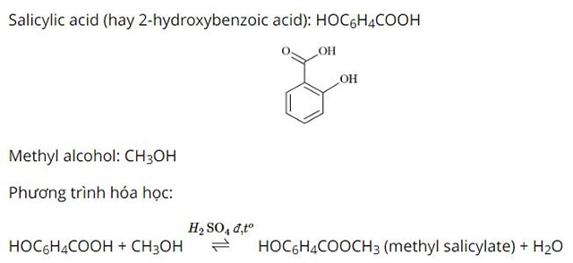 Ester - Lipid