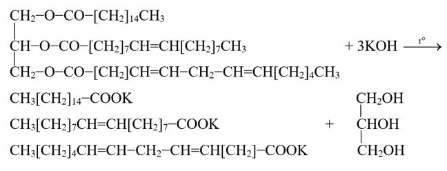 Ester - Lipid