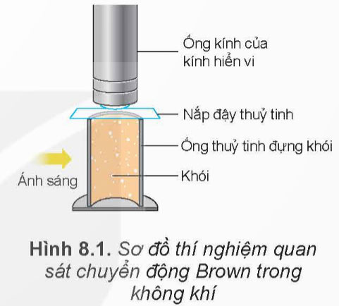 Mô hình động học phân tử chất khí