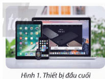 Vai trò của các thiết bị mạng